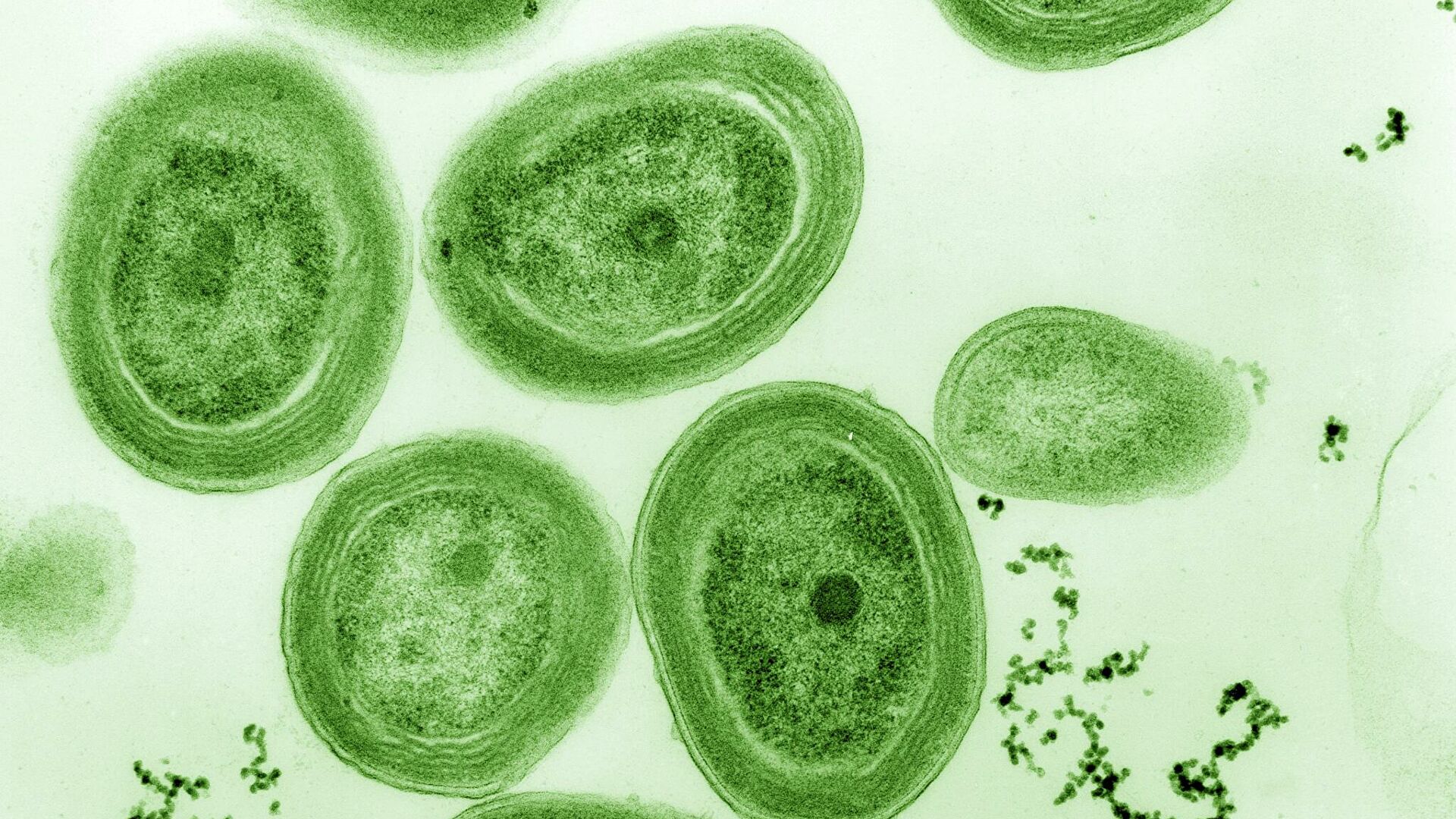 Ученые выяснили, когда в атмосфере Земли появился первый кислород