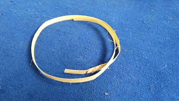 "Это мучения". Ученые рассказали, что губит морских животных