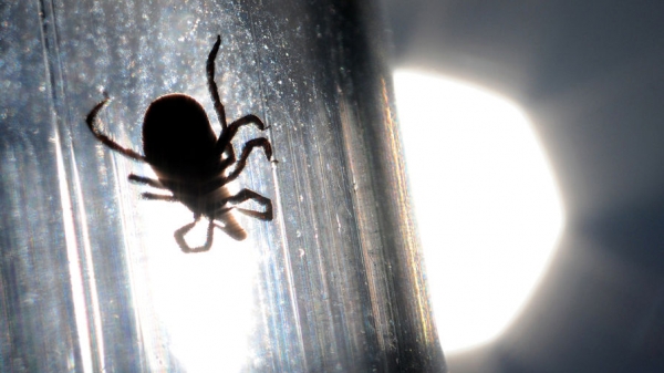 В Китае распространяется вирус, способный убить человека