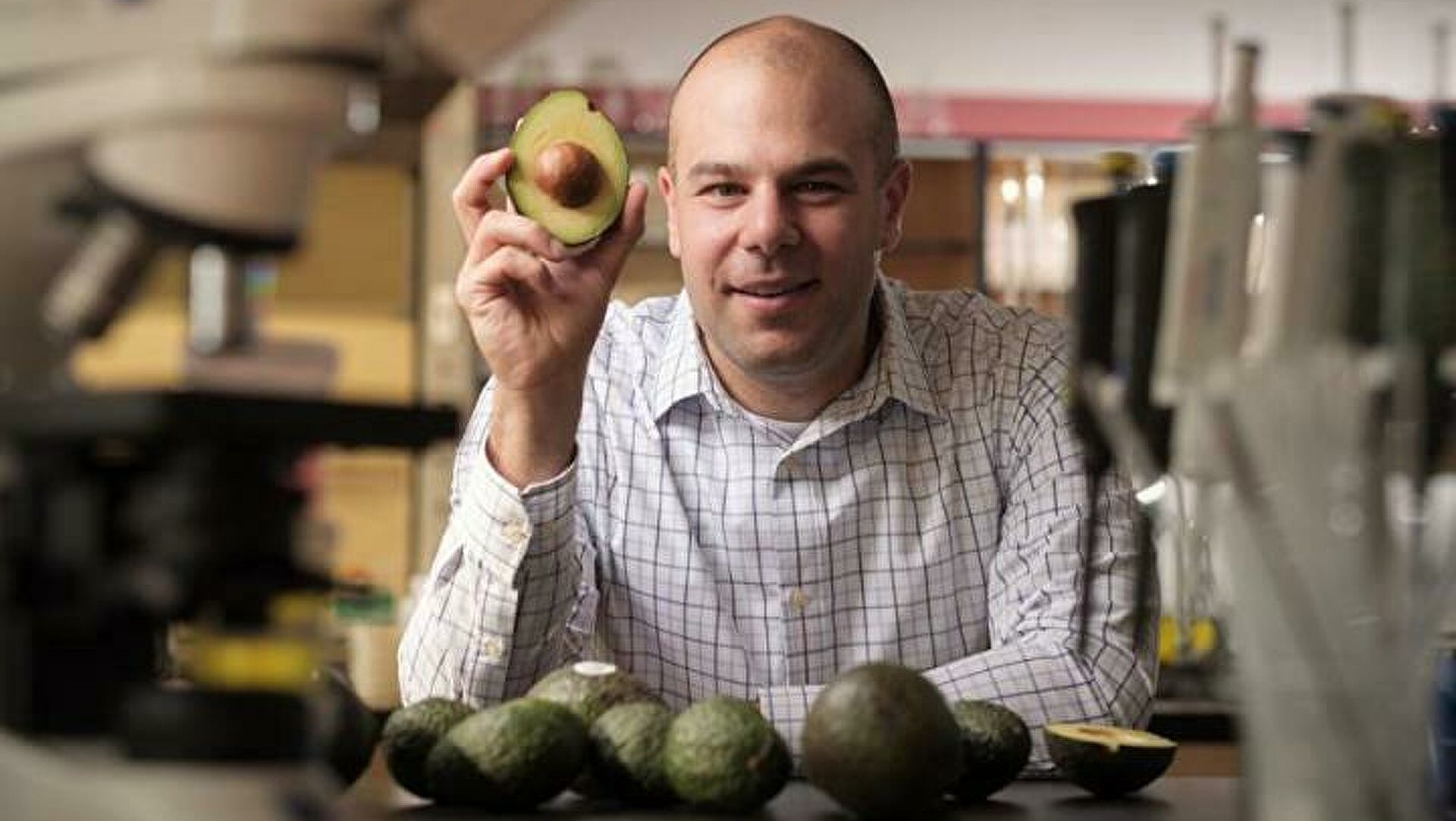 Ученые обнаружили антираковое свойство авокадо