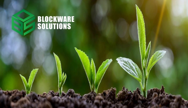 Структура циклических рынков Структура циклических рынков