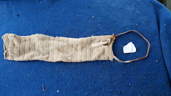 "Это мучения". Ученые рассказали, что губит морских животных