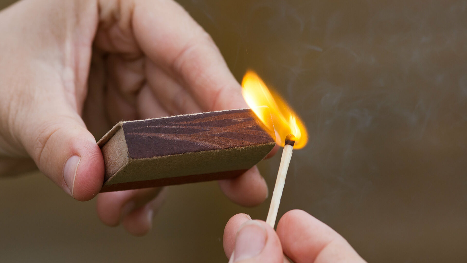 В Ленинградской области во время семейной ссоры сожгли двух попугаев В Ленинградской области во время семейной ссоры сожгли двух попугаев