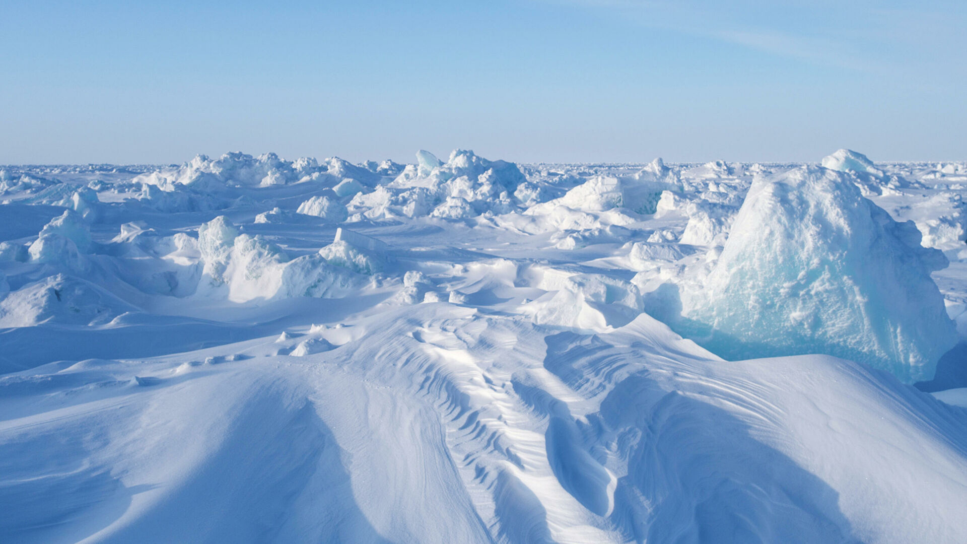 "Это мучения". Ученые рассказали, что губит морских животных