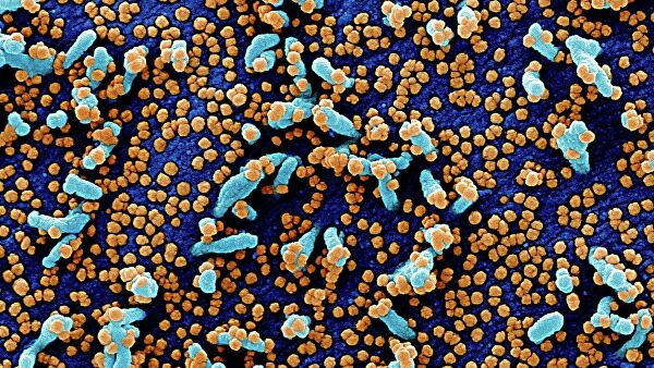 Ученые РАН предложили новый способ создания вакцины от коронавируса