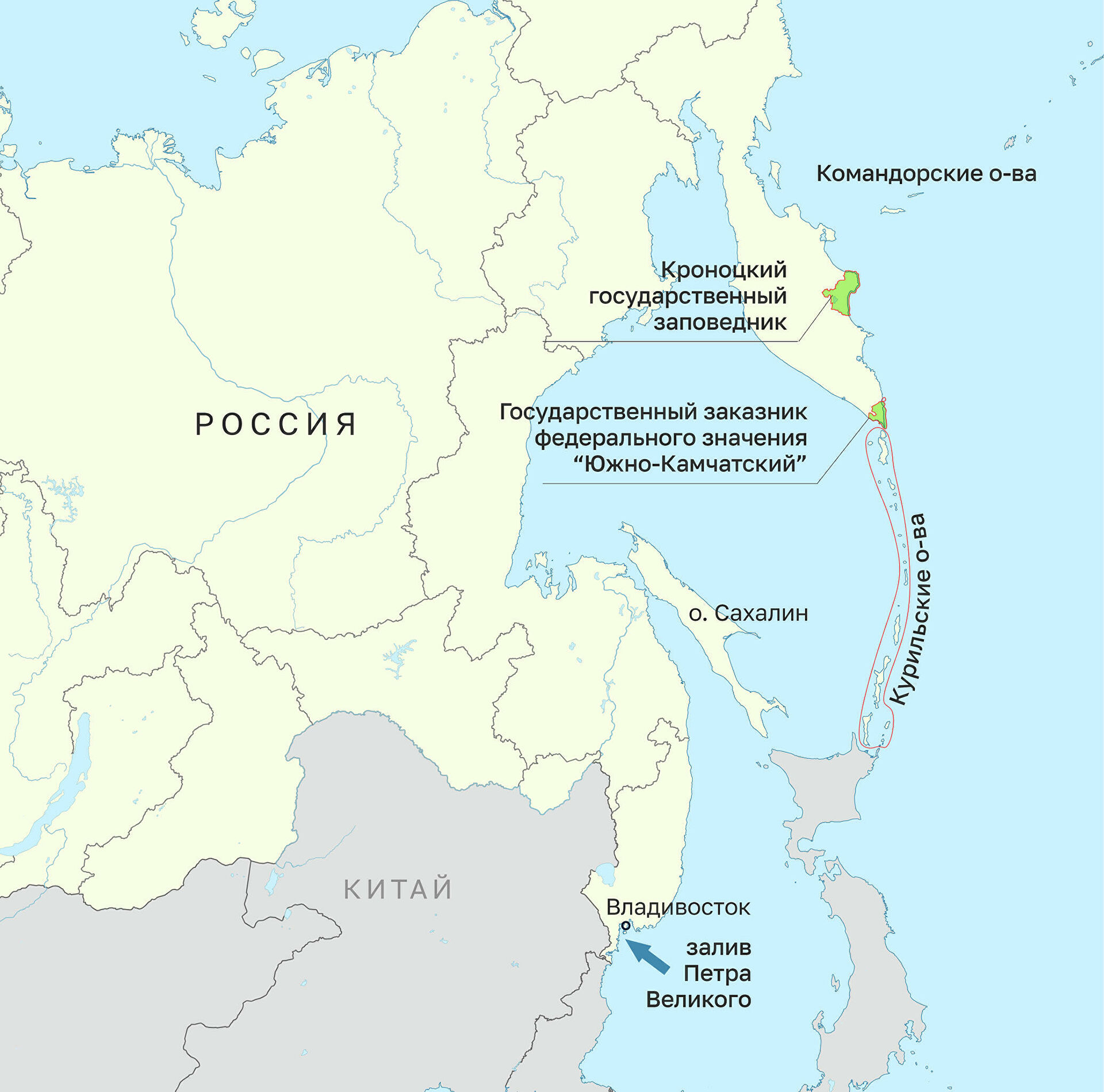 "Это мучения". Ученые рассказали, что губит морских животных