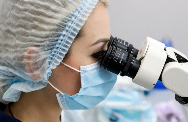 Правительство продолжит грантовую поддержку молодых ученых