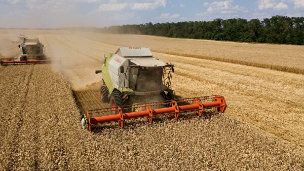 Ученые разработали тест-ферменты для проверки с/х земель на безопасность