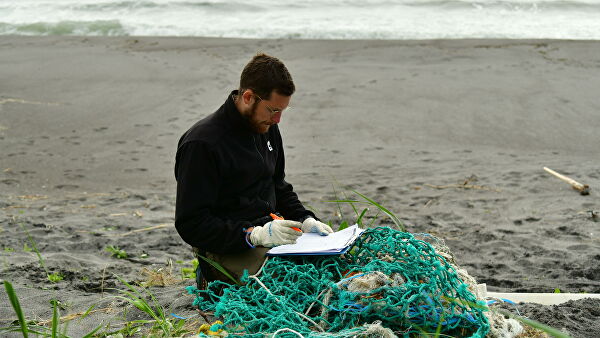 "Это мучения". Ученые рассказали, что губит морских животных